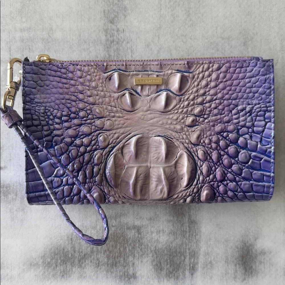 Brahmin daisy very